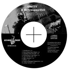 Unity, A Retrospective